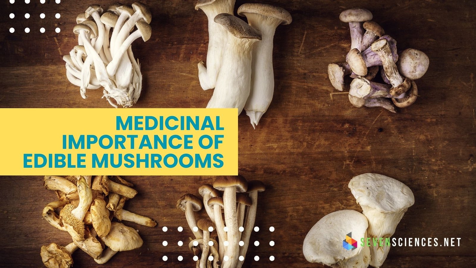 Medicinal importance of Mushroom