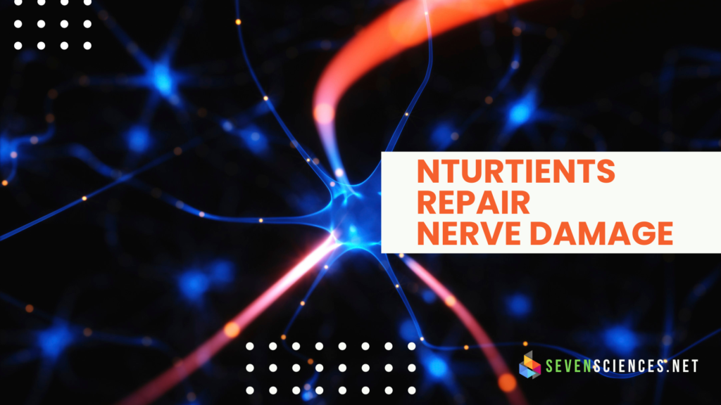 10 Amazing Nutrients To Repair Nerve Damage - Seven Sciences