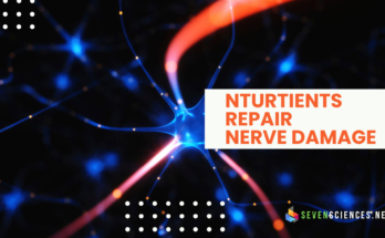 Nutrients to repair nerve damage